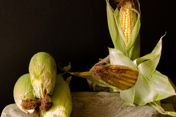 Kolby dojrzałej kukurydzy w zielonych liściach. - obrazy, fototapety, plakaty