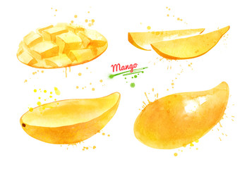 Fototapeta na wymiar Watercolor set of illustrations of yellow Mango fruit