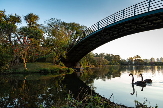 Ponte de Ferro no Parque Ibirapuera em S&atilde;o Paulo, Brasil