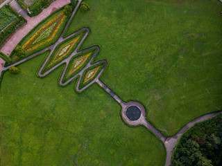 Aerial view of grass and alley in the park. Natural green spring summer background. drone shot