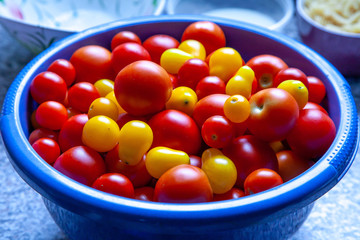 Tomaten aus dem Garten Bio gelbe rote verschiedene Sorten in einer Schüssel gesammelt