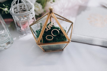 wedding rings lie in a beautiful glass box on green moss