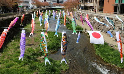 Carp flag on Children's Day in Japan