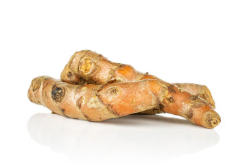 Group of three whole fresh bright turmeric rhizome isolated on white background