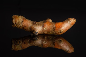 One whole fresh bright turmeric rhizome isolated on black glass