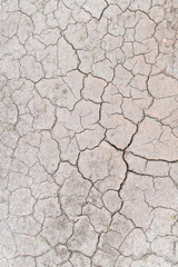 Textured Cracks on Dry Ground