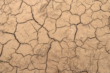 Textured Cracks on Dry Ground