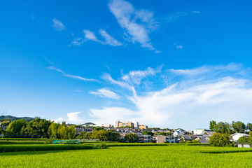 MIno City