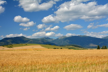 widok na pola i góry © robert6666
