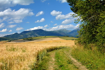 widok na pola i góry