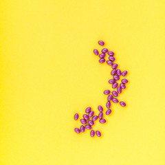 Nutritional supplement purple pills