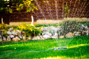 Gardening details - automatic lawn watering system with circular sprinklers. Close up details of lawn maintainance - obrazy, fototapety, plakaty