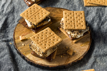 Homemade Gooey Smores Sandwiches
