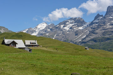 Fototapeta na wymiar Tannen over Engelberg on the Swiss alps
