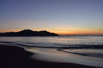 Dog standing and sunset on the beach.
