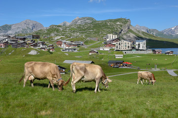 Fototapeta na wymiar Mountain village of Melchsee-Frutt in the Swiss alps
