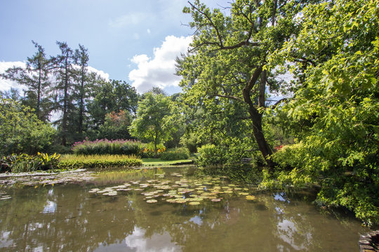 English country pond in Summer. Lush green foliage surrounding lake.