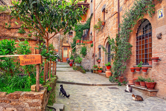 Beautiful alley in Tuscany, Old town, Italy © vyha