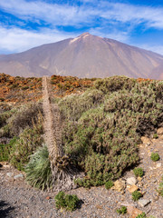 Mount Teide volcano highest peak in Spain from Las Canadas del Teide national park, Tenerife,...