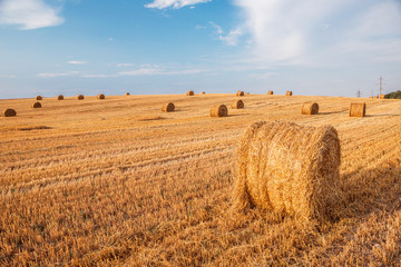 Fototapeta premium Wheat field after harvest with straw bales at sunset