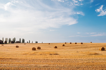 Wheat field after harvest with straw bales at sunset