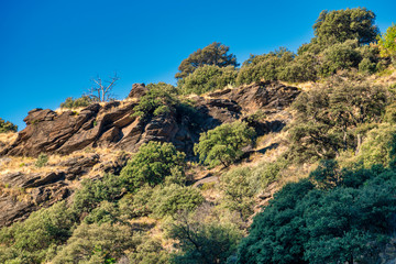 Sierra Nevada