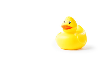 Yellow rubber duck isolated on white background