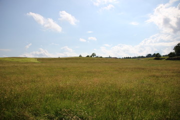 Grüne Landschaft im Sommer