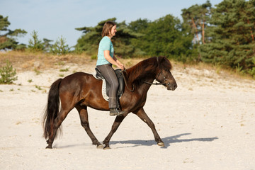 Reiterin mit Isl&auml;nder in der Heide