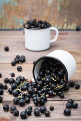Ripe black currant crumbled out of a white mug on a wooden table