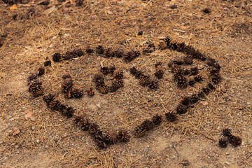 the word love written by pine cones on the sand