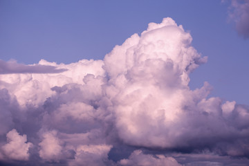 Twilight ping cloud on purple sky. Delicate heavenly cloudscape sky with pink  coloured cumulus...