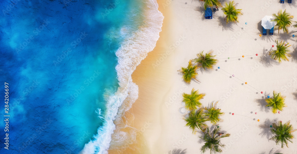 Sticker palm trees and ocean as a background from top view. beach and sand background from top view. summer 