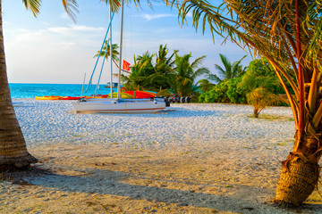 Boats for water activities in the Maldives lie on the shore in t