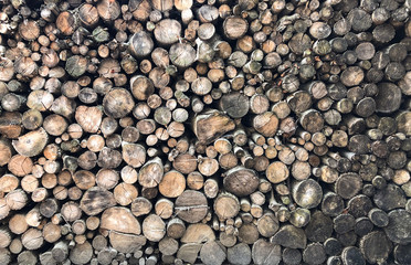 Background from neatly stacked sawn tree trunks overlooking the back of a wooden texture. Firewood storage for heating, bonfires, fireplaces.