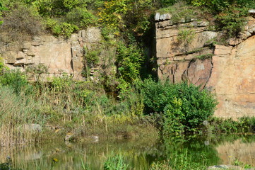 Old rock in the park