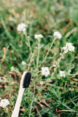 Bamboo Toothbrush with Green Grass Background. Zero waste