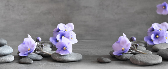 Zen stones and violet flowers on grey background.