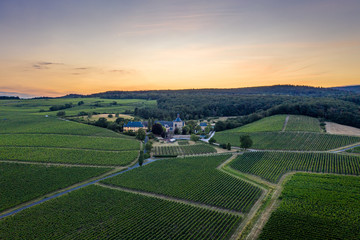 Drone photo of Schloss Vollrads. Old Castle in German vineyard