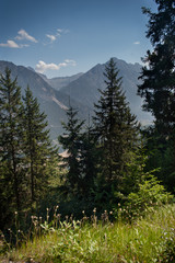 Summer day high in Italian Alps 