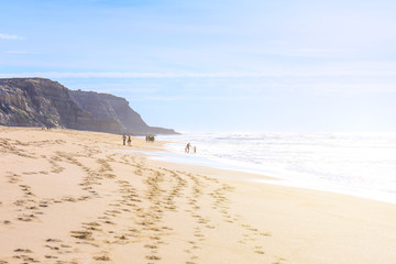 People relaxing and walking on the ocean beach in a shine bright light  at sunny day. Wonderful romantic seascape of ocean coastline.