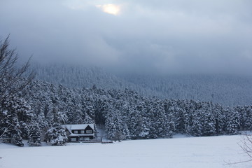 icy lake and snowy house