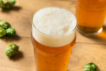 Refreshing Summer IPA Craft Beer