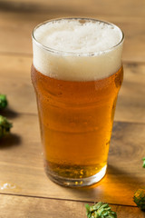 Refreshing Summer IPA Craft Beer