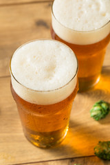 Refreshing Summer IPA Craft Beer