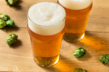 Refreshing Summer IPA Craft Beer