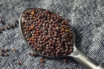 Raw Organic Brown Mustards Seeds