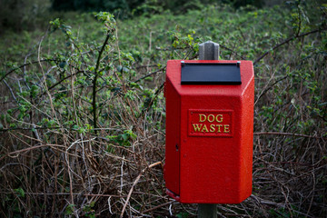 Fototapeta na wymiar Dog waste disposal bin