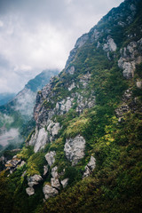 summer high in the mountains clouds forest