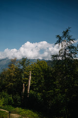 Obraz premium forest mountains clouds sky